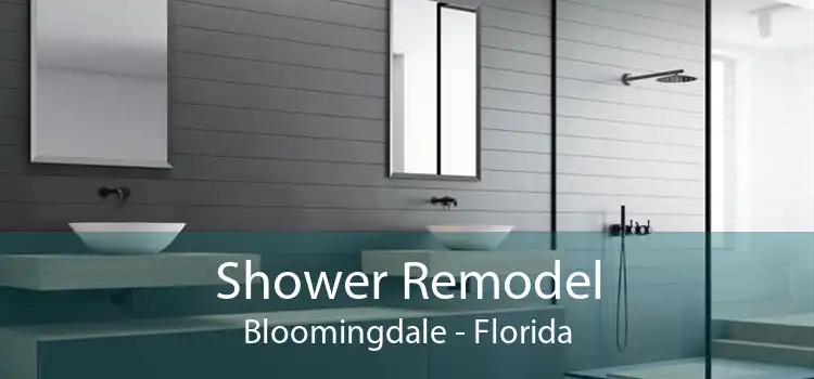 Shower Remodel Bloomingdale - Florida