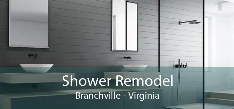 Shower Remodel Branchville - Virginia