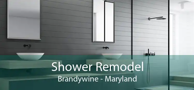 Shower Remodel Brandywine - Maryland