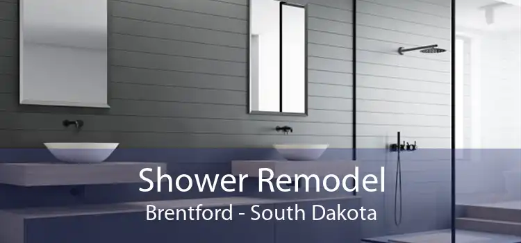 Shower Remodel Brentford - South Dakota