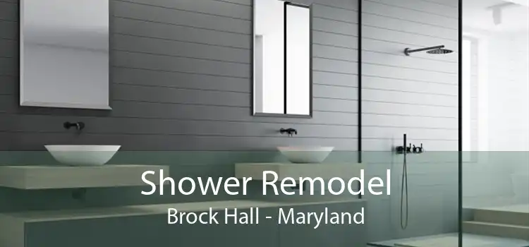 Shower Remodel Brock Hall - Maryland