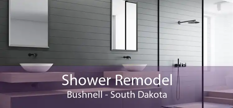 Shower Remodel Bushnell - South Dakota