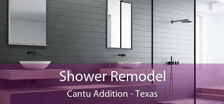 Shower Remodel Cantu Addition - Texas