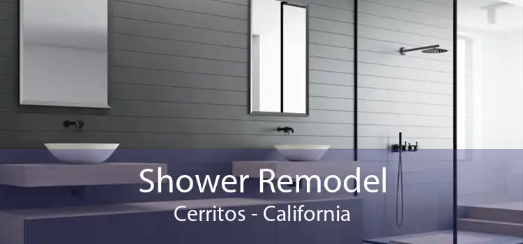 Shower Remodel Cerritos - California