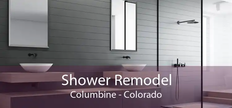 Shower Remodel Columbine - Colorado