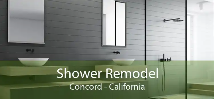 Shower Remodel Concord - California