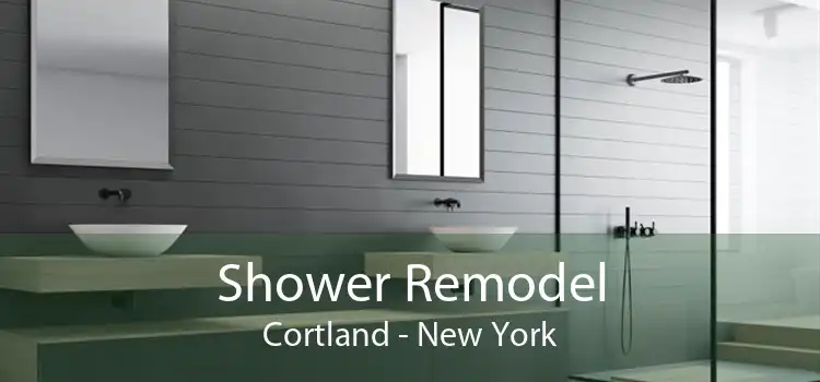 Shower Remodel Cortland - New York