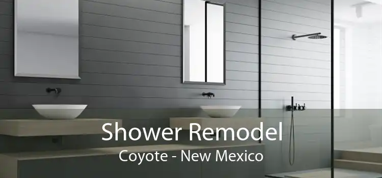 Shower Remodel Coyote - New Mexico