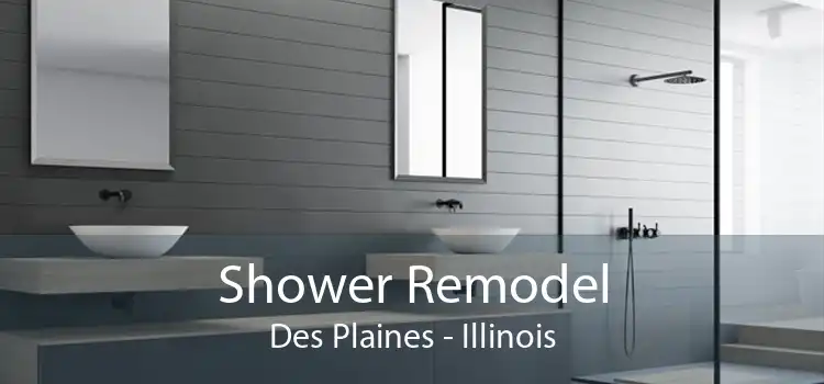 Shower Remodel Des Plaines - Illinois