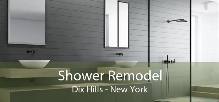 Shower Remodel Dix Hills - New York