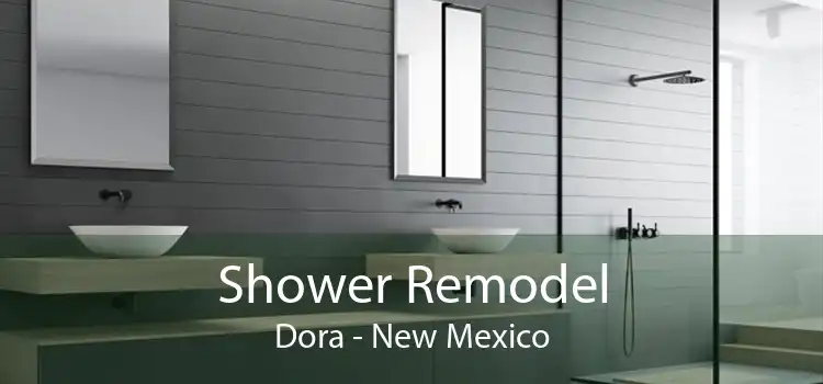 Shower Remodel Dora - New Mexico