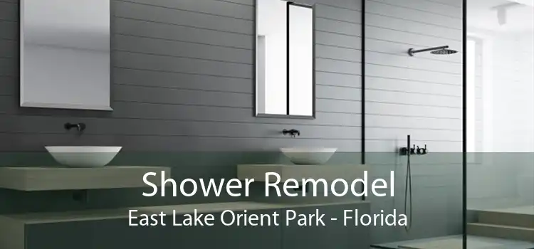 Shower Remodel East Lake Orient Park - Florida