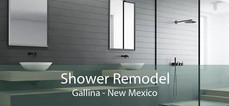 Shower Remodel Gallina - New Mexico