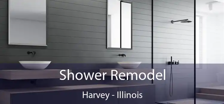Shower Remodel Harvey - Illinois