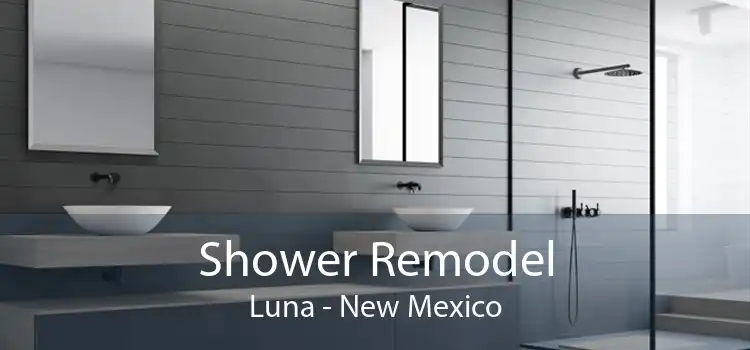 Shower Remodel Luna - New Mexico