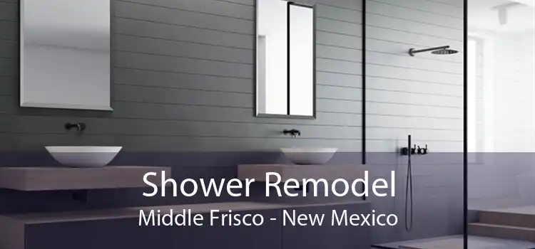 Shower Remodel Middle Frisco - New Mexico