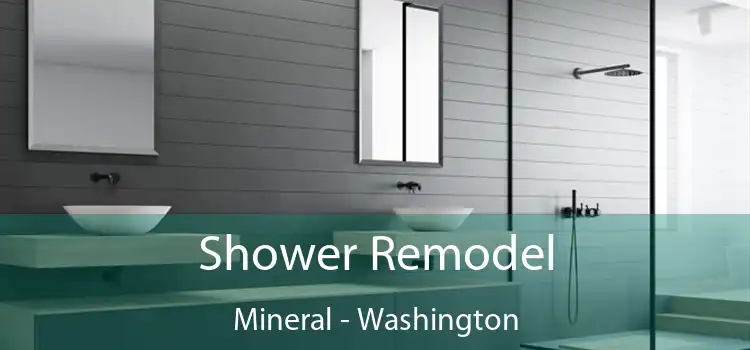 Shower Remodel Mineral - Washington