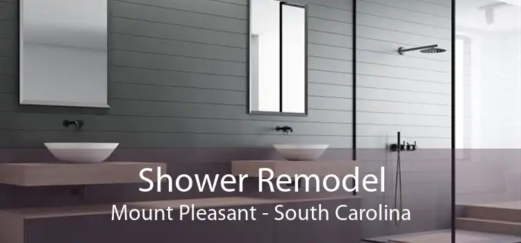 Shower Remodel Mount Pleasant - South Carolina