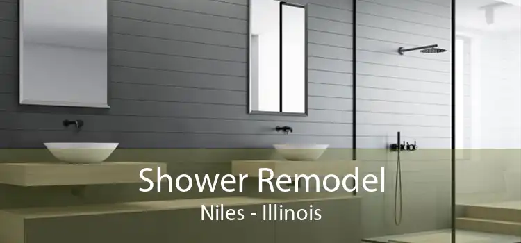 Shower Remodel Niles - Illinois