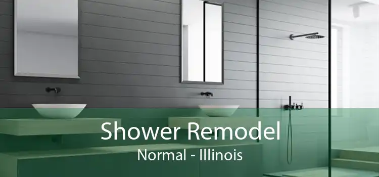 Shower Remodel Normal - Illinois