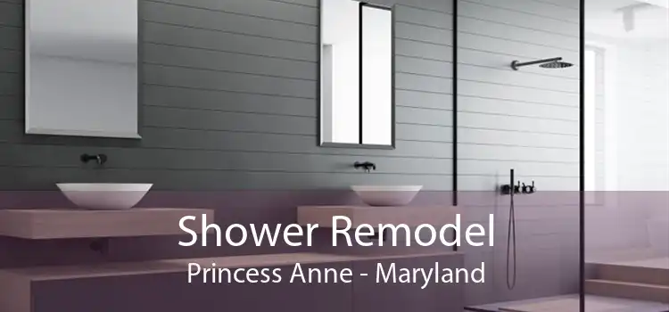 Shower Remodel Princess Anne - Maryland