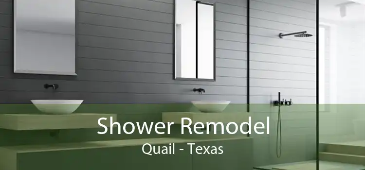 Shower Remodel Quail - Texas