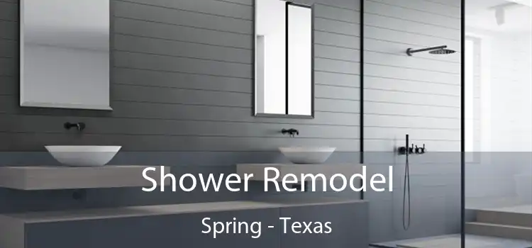Shower Remodel Spring - Texas